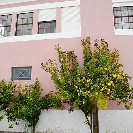ファームステイ Casa De *